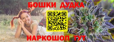 скорость Бердск