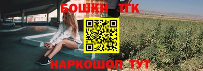 скорость Бердск