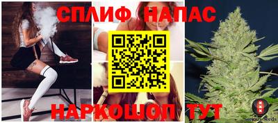 скорость Бердск