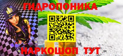 скорость Бердск