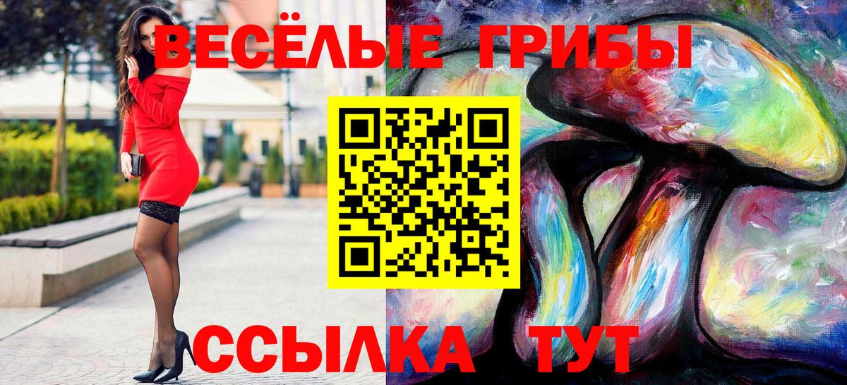 Братск  Галлюциногенные грибы мухоморы  закладки  Псилоцибиновые грибы мухоморы  Вход с VPN 
