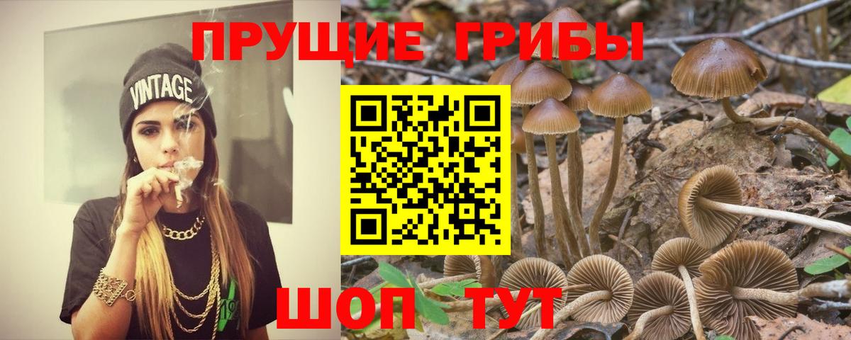 Галлюциногенные грибы MAGIC MUSHROOMS Братск