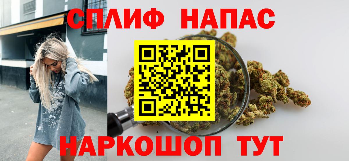 Бошки Шишки план  Вход с VPN  Бошки Шишки план  Конопля сатива  Братск  Бошки марихуана гибрид 